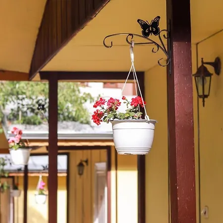 Bungalow For 2 Or 3 Persons In The Lovely Forest 3*