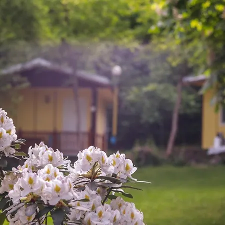 Bungalow For 2 Or 3 Persons In The Lovely Forest Kamena